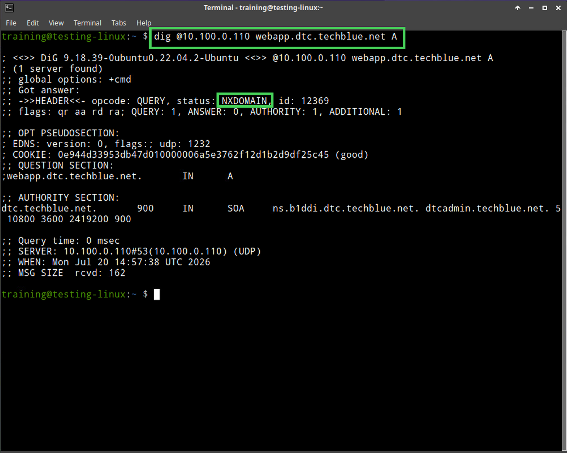 Topology Testing linux-20260901-142627.png